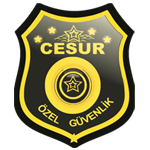 Cesur Güvenlik 7/24 Hizmet